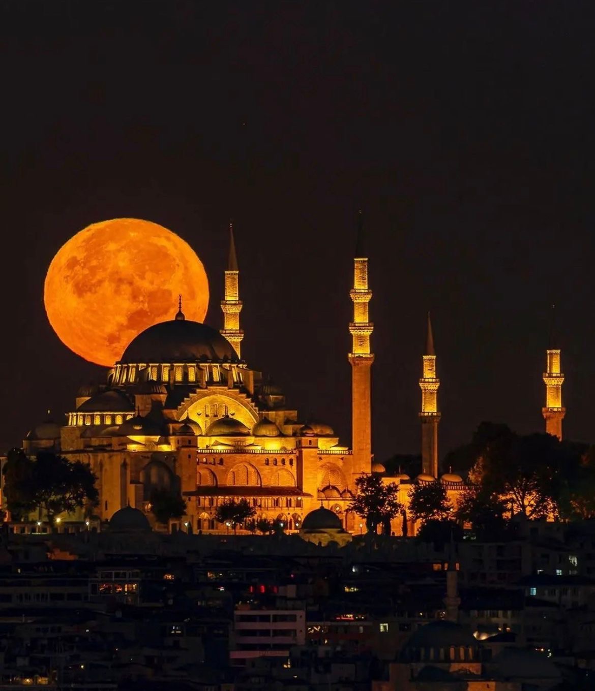 Mezquita Turquía viaje con Bluemarise